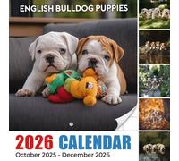 English Bulldog Puppies Calendar 2026: Sweet beginnings and lovable wrinkles marking each month