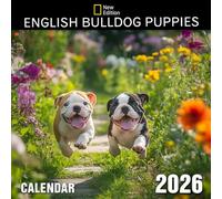 English Bulldog Puppies Calendar 2026: Sweet beginnings and lovable wrinkles marking each month