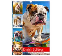 English Bulldogs. Fröhliche Dickköpfe mit Charakter (Wandkalender 2027 DIN A3 ho