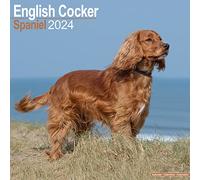 English Cocker Spaniel Calendar 2024 | Square Dog Breed Wall Calendar - 16 Month