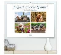 English Cocker Spaniel - Fröhliche Gesellen (hochwertiger Premium Wandkalender 2026 DIN A2 quer), Kunstdruck in Hochglanz: Immer lächelnde English Cocker Spaniel