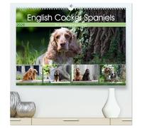 English Cocker Spaniels - Ein Spaziergang im Park (hochwertiger Premium Wandkalender 2026 DIN A2 quer), Kunstdruck in Hochglanz: English Cocker Spaniel im Park auf der Mathildenhöhe