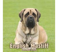 English Mastiff Calendar 2026: 14-Month Organizer from Nov 2025 to Dec 2026 | Perfect for Home, Office, School & Family Scheduling, For Men , Women , Girls , Boys