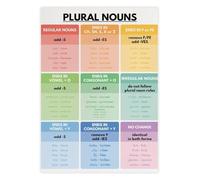 English Plural Nouns Rule Chart Poster - Colorful Grammar Learning Aid, Educational Decor for Kids Room, Classroom Wall Art on Canvas(Unframed,16x24inch(40x60cm))