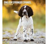 English Springer Spaniel 2026 Calendario tradizionale
