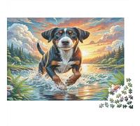 English Springer Spaniel - Carta resistente - Bovaro del Bernese che sguazza nel ruscello - Puzzle - Attività familiare educativa - 70x50cm/1000 pezzi