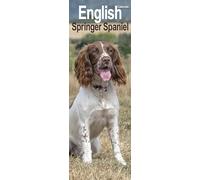 English Springer Spaniel Slim 2025 Slimline Wall Calendar | Dog Breed Calendar