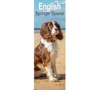 English Springer Spaniel Slim 2026 Calendar | Slimline Wall Calendar | Dog Breed Gift | Plastic Free Packaging | by Avonside Publishing