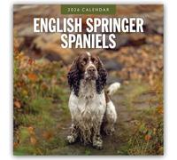English Springer Spaniels - Englisch Springer Spaniels 2026 - 16-Monatskalender: Original Red Robin Publishing Ltd-Kalender [Mehrsprachig] [Kalender]