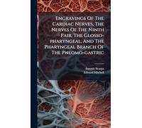 Engravings Of The Cardiac Nerves, The Nerves Of The Ninth Pair, The Glosso-pharyngeal, And The Pharyngeal Branch Of The Pneomo-gastric