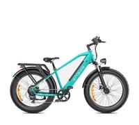 ENGWE E26 Bicicletta elettrica - 250W 768WH Autonomia 140KM Freni a disco - Blu - Nouvo