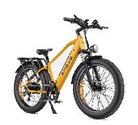 ENGWE E26 mountain bike a doppia sospensione 250 W, 48 V 16 Ah-Giallo - Nouvo