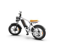 ENGWE M2048V 26AH/13AH E-bike Off-roade Cambio 7 Velocità e Sospensione Completa