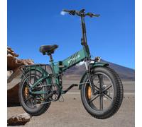 ENGWE Pieghevole Biciclette Elettrica 20" Tire 250W 110KM E-Bike 15MPH 8-Speed