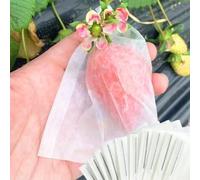 Enhanced Strawberry Collection, 100 forchette e sacchetti per lavori di giardinaggio fluidi
