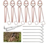 Enhon Set da 6 trappole per talpe + pinze - Professionale ed efficace - Controllo naturale e rapido delle talpe senza petardi - Trappola per talpe robusta e resistente con meccanismo di attivazione