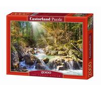 Enigma 2000 Un torrente nella foresta CASTOR