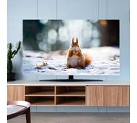 Enigmaire Copertura Antipolvere per TV,Copertura Schermo Stile Moderno,Elastico Universale Protettori Schermo,Leggera e Pieghevole,Parte Posteriore semichiusa,per Decorazione Televisiva