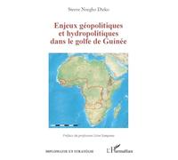 Enjeux géopolitiques et hydropolitiques dans le golfe de Guinée