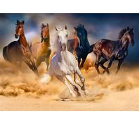Enjoy - Puzzle Cavalli che corrono nel deserto - 1000 Pezzi