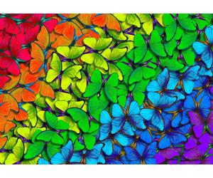 Enjoy - Puzzle Farfalle arcobaleno - 1000 Pezzi