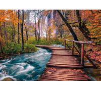 Enjoy - Puzzle Flusso forestale a Plitvice, Croazia - 1000 Pezzi