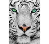 Puzzle Tigre Siberiano Bianco 1000 Pezzi