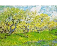 Enjoy - Puzzle Vincent van Gogh: Il frutteto in fiore - 1000 Pezzi