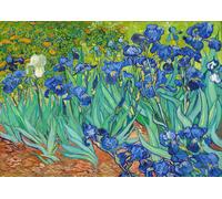 Enjoy - Puzzle Vincent van Gogh: Iris - 1000 Pezzi