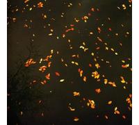 Enjoy The Silence - Enjoy The Silence, Vol. 1