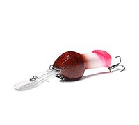 Enjoyard Regali di Pesca per Uomini,Esca dura da Pesca Realistica ABS- Artificiali Spinning con Treble Hook Regalo Originale Pescatore Regali per Pescatori,28g/14 cm