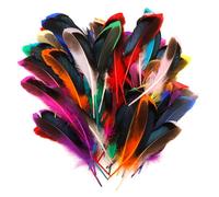 ENLACE 100 piume per fai da te, piume colorate naturali, 10-15 cm, piume per bricolage, piume indiane per bambini, decorazione per orecchini fai da te, matrimonio, acchiappasogni, piume