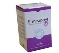 Biogroup Integratore alimentare Enneaphyt 6 40 compresse orosolubili 300 mg