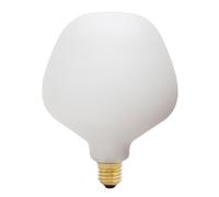 Tala lampadina LED E27 opaca 6W 2.700 K 540 lm dimmerabile. Tala