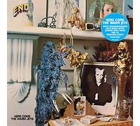 Eno, Brian Here Come The Warm Jets (Vinyl LP)