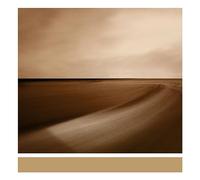 Brian Eno Small Craft On a Milk Sea (Vinyl LP) 12" Album