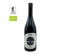 ENOZ PIEDIROSSO Tra Cielo e Terra 2024