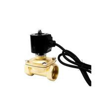 ENRHQENK Elettrovalvola Subacquea normalmente Chiusa da 1-1/2" IP68 elettrovalvola Impermeabile 110V 24V 12V 24v(BSP_12VDC)