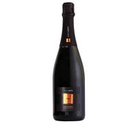 Enrico Gatti Franciacorta Brut Nature DOCG 0,75 l