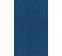 Enrique Castillo Extreme Value Theory in Engineering (Copertina rigida)