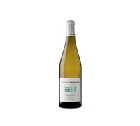 Enrique Mendoza Chardonnay Joven 2025