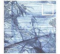 Ensemble Alraune - Strues
