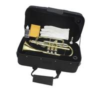 Ensemble Di Trombe Standard Cornetta Professionale In Si Bemolle In Ottone Placcato Oro Con Bocchino Guanti Panno Per La Pulizia Borsa Portatile E Altri Accessori