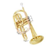 Ensemble Di Trombe Standard Cornetta Sib Placcata Oro Strumento Professionale In Ottone Con Custodia E Accessori Per La Pulizia