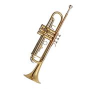 Ensemble Di Trombe Standard Esame Di Esibizione Professionale In Si Bemolle Per Principianti Tromba Strumento A Tre Toni
