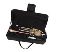 Ensemble Di Trombe Standard Lo Strumento Tromba In Si Bemolle In Bronzo Fosforoso È Adatto Ai Principianti Per Suonare E Testare