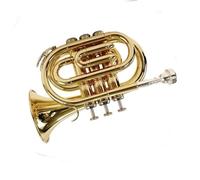 Ensemble Di Trombe Standard Mini Tromba In Si Bemolle Strumento In Ottone Per Principianti Insegnamento In Orchestre Scolastiche
