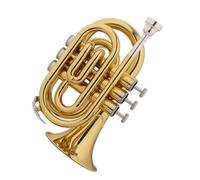 Ensemble Di Trombe Standard Mini Tromba Per Principianti In Si