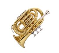 Ensemble Di Trombe Standard Mini Tromba Per Principianti In Si Bemolle