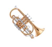 Ensemble Di Trombe Standard Piccolo Strumento A Fiato Professionale Laccato Oro Con Tasto Si